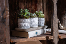  Handmade Concrete Pots Set/3