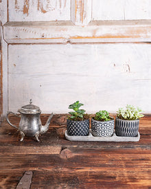  Handmade Concrete Pots Set/3