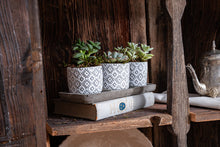  Handmade Concrete Pots Set/3