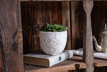  Handmade White Textured Concrete Pot