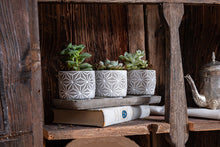  Handmade Concrete Pots Set/3