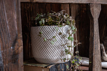  Handmade White Concrete Pot